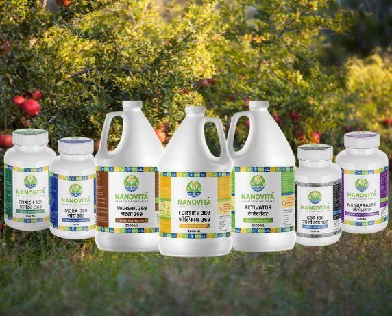 NanoVita product lineup